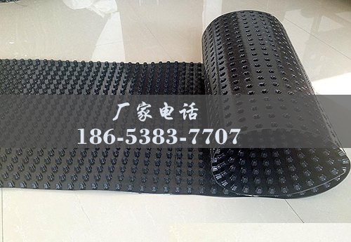 排水板廠家http://www.fqoh.com.cn/