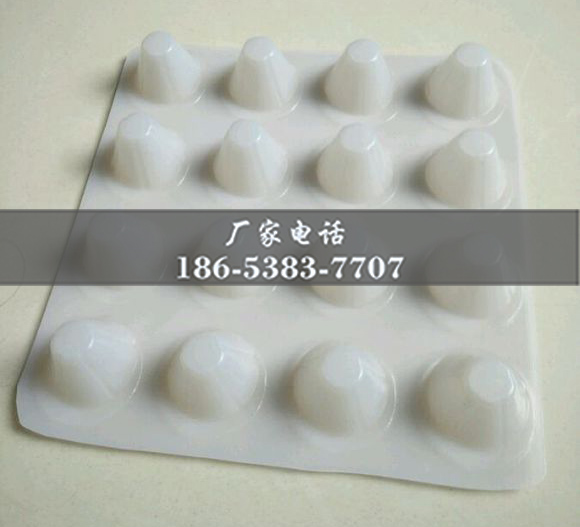 排水板廠家http://www.fqoh.com.cn/